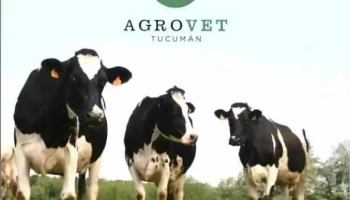Agrovet Tucuman sucursal Trancas - Trancas