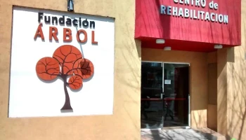 Árbol Centro de Rehabilitacion e Integracion Escolar - Alta Gracia