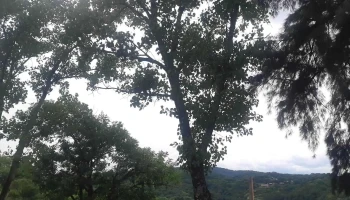 Cadicoop - San Miguel De Tucumán