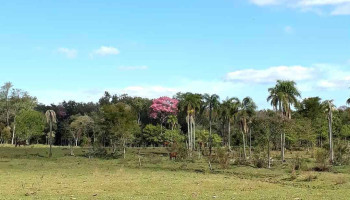 Cerro Cora - Cerro Cora