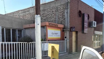 Clínica Veterinaria Olaen - Rivadavia