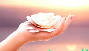 Flores de Loto: Centro Integral Terapéutico - Nogoyá
