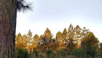 Gral Manuel Belgrano - Misiones