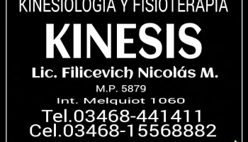 Kinesis Kinesiologia Y Fisioterapia - Arias