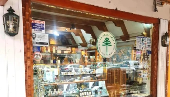 La Araucaria - San Martín De Los Andes