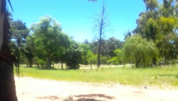 Municipalidad de Santa Ana - Santa Ana