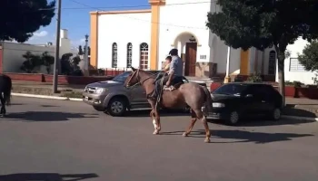 Municipalidad de Toay - Toay