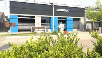 Mutual Cat - El Trebol