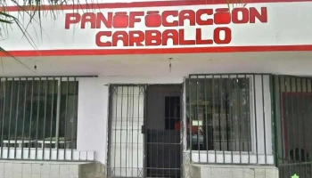 Panificacion Carballo - Yerba Buena