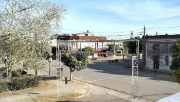Piquillín - Piquillín