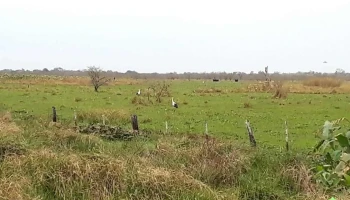 Presidencia de la Plaza - Chaco
