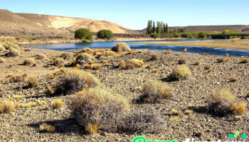 Río Senguer - Chubut