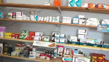 veterinaria El Fortin - Puerto Tirol
