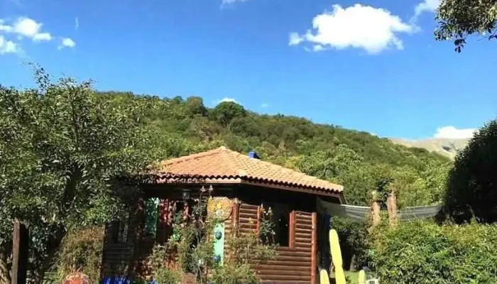 Al Pie Del Morro - Merlo