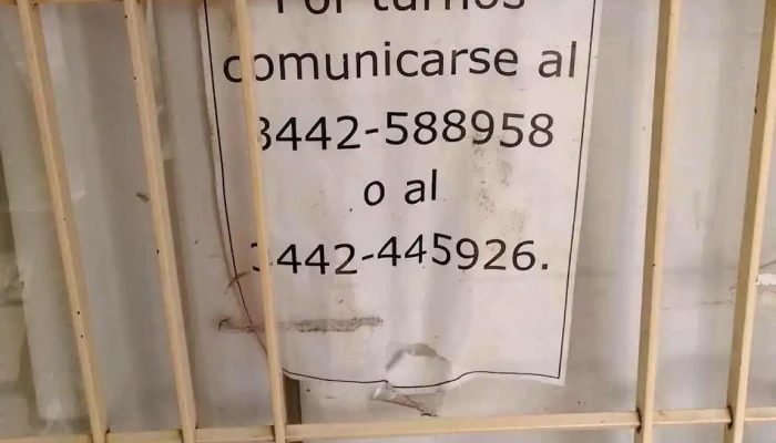 Albbano Nicolas Madalena - Concepción Del Uruguay