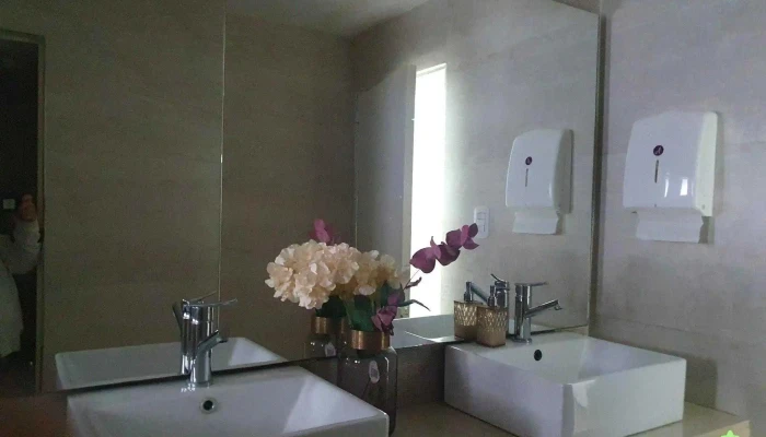Amine Estetica Salud Bienestar Interior - San Luis