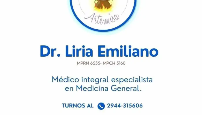 Artemisa Casa De Salud -  Del Propietario - El Bolsón