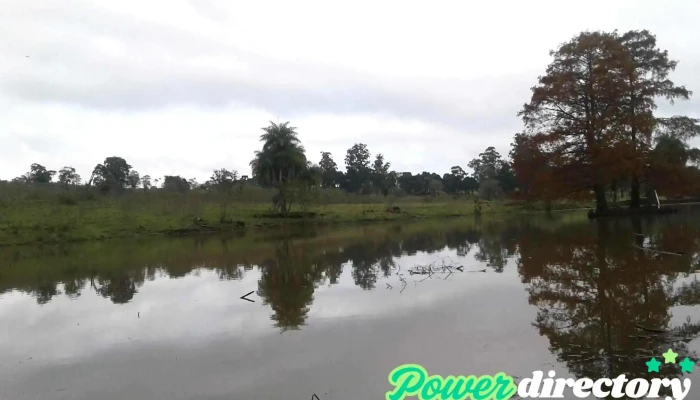 Aserradero Caraguatay -  Fotos - Misiones