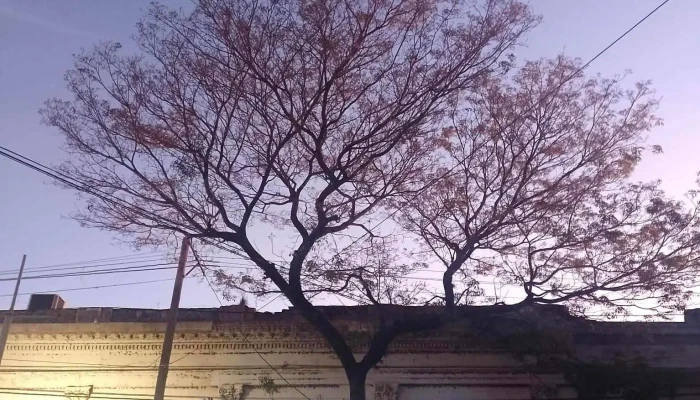 Banco De Corrientes Sa Telefono - Santo Tomé