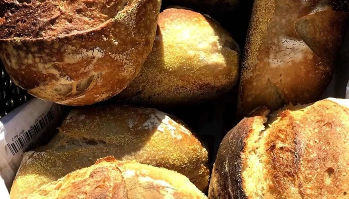Bruto Panaderia Masa Madre - San Rafael