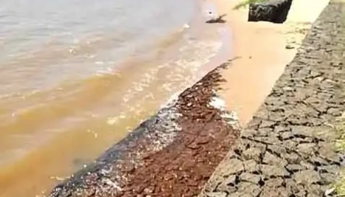 Cabanas Bahia De Santa Ana Videos - Santa Ana