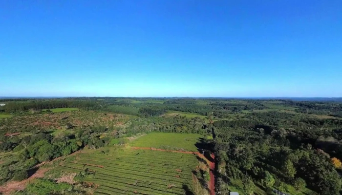 Campo Ramon Preciosdeg - Campo Ramón