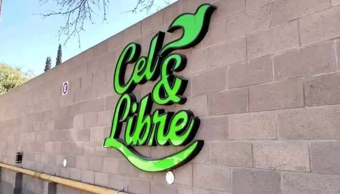 Cellibre Sin Gluten Del Propietario - Yerba Buena