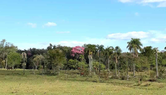 Cerro Cora -  Descuentos - Cerro Cora