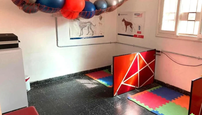Clinica Veterinaria Olaen Del Propietario - Rivadavia