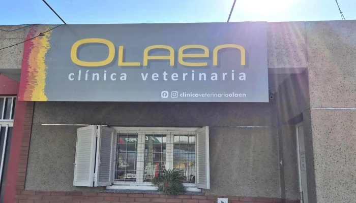 Clinica Veterinaria Olaen Instagram - Rivadavia