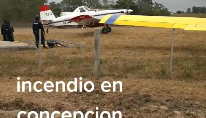 Concepcion Videos - Concepción