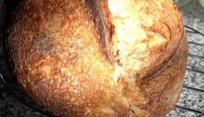 De Masa Madre Comida Y Bebida - Juana Koslay