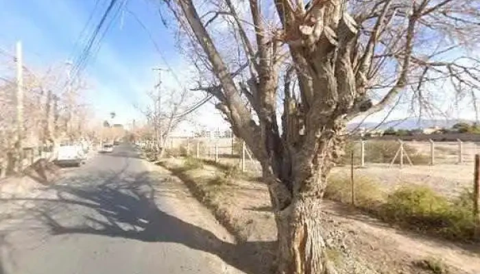 Dfresas Sitio Webdeg - Rivadavia