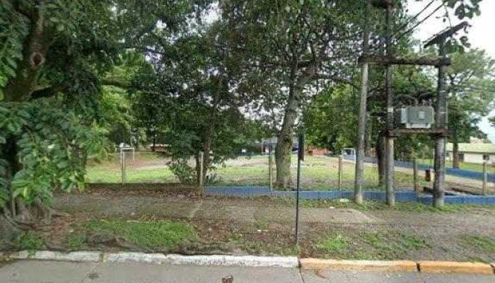 Dolcericco Dondedeg - Yerba Buena
