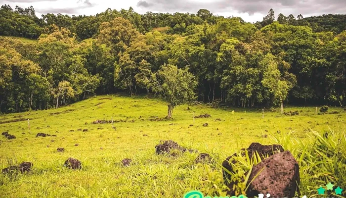 Dos Arroyos - Dos Arroyos