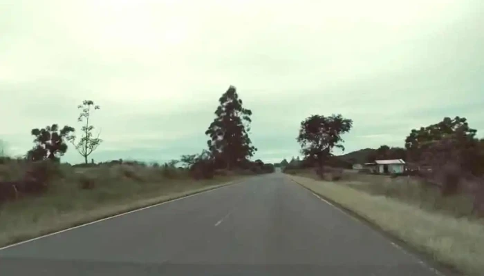 El Alcazar -  Videos - El Alcazar