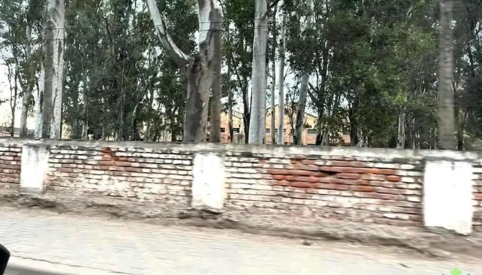 El Galpon Salta Argentina -  De Los Visitantes - Galpon