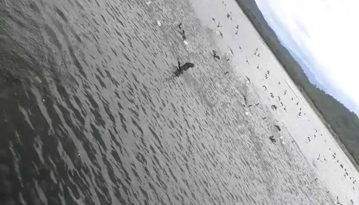 Embalse Cabra Corral -  Videos - La Viña