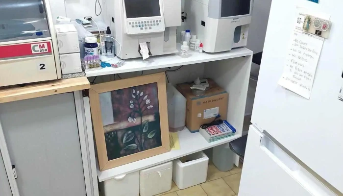 Emecur Srl -  Mas Recientes - Curuzú Cuatiá