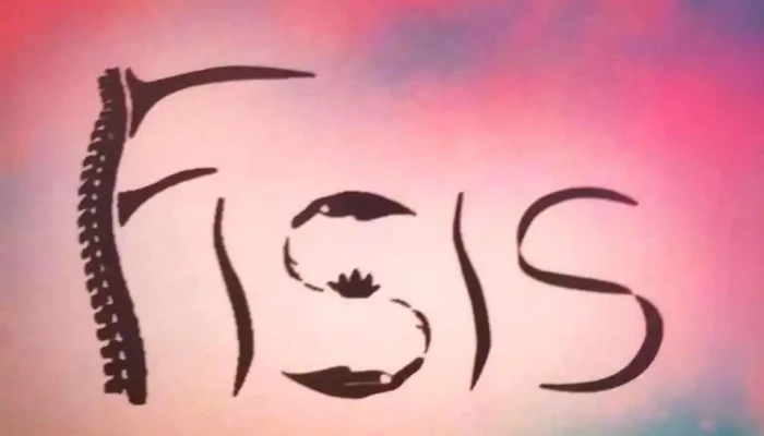 Fisis Merlo -  Del Propietario - Merlo