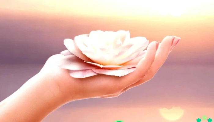 Flores de Loto: Centro Integral Terapéutico - Nogoyá