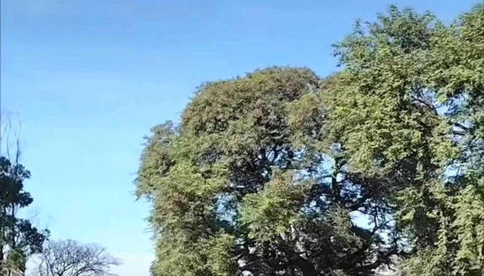 Fundacion La Vidalita Equinoterapia Tucuman Cerca De Mi - San Miguel de Tucumán