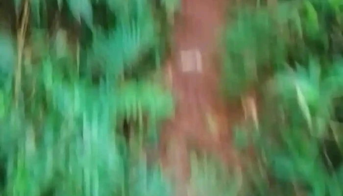 Gral Alvear Videos - Gral. Alvear