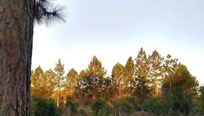 Gral Manuel Belgrano - Misiones