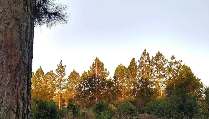 Gral Manuel Belgrano -  Ubicacion - Misiones