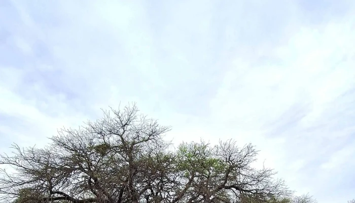 Jardin Botanico Provincial -  Donde - Toay