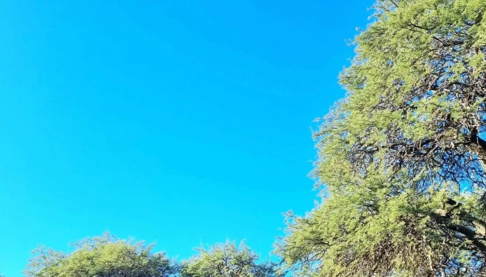 Jardin Botanico Provincial -  Horario - Toay