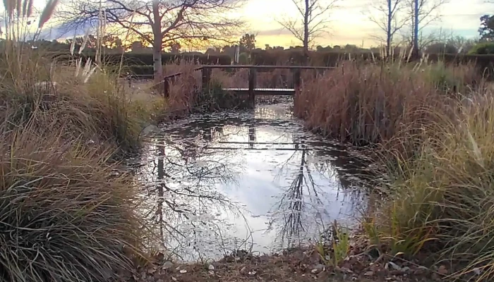Jardin Botanico Provincial -  Promocion - Toay