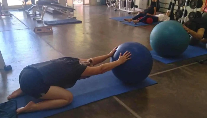 Kaf -    Kinesiologia Y Fisioterapia Cerca De Mi - Int. Alvear