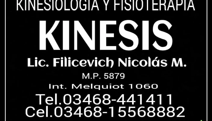 Kinesis Kinesiologia Y Fisioterapia - Arias